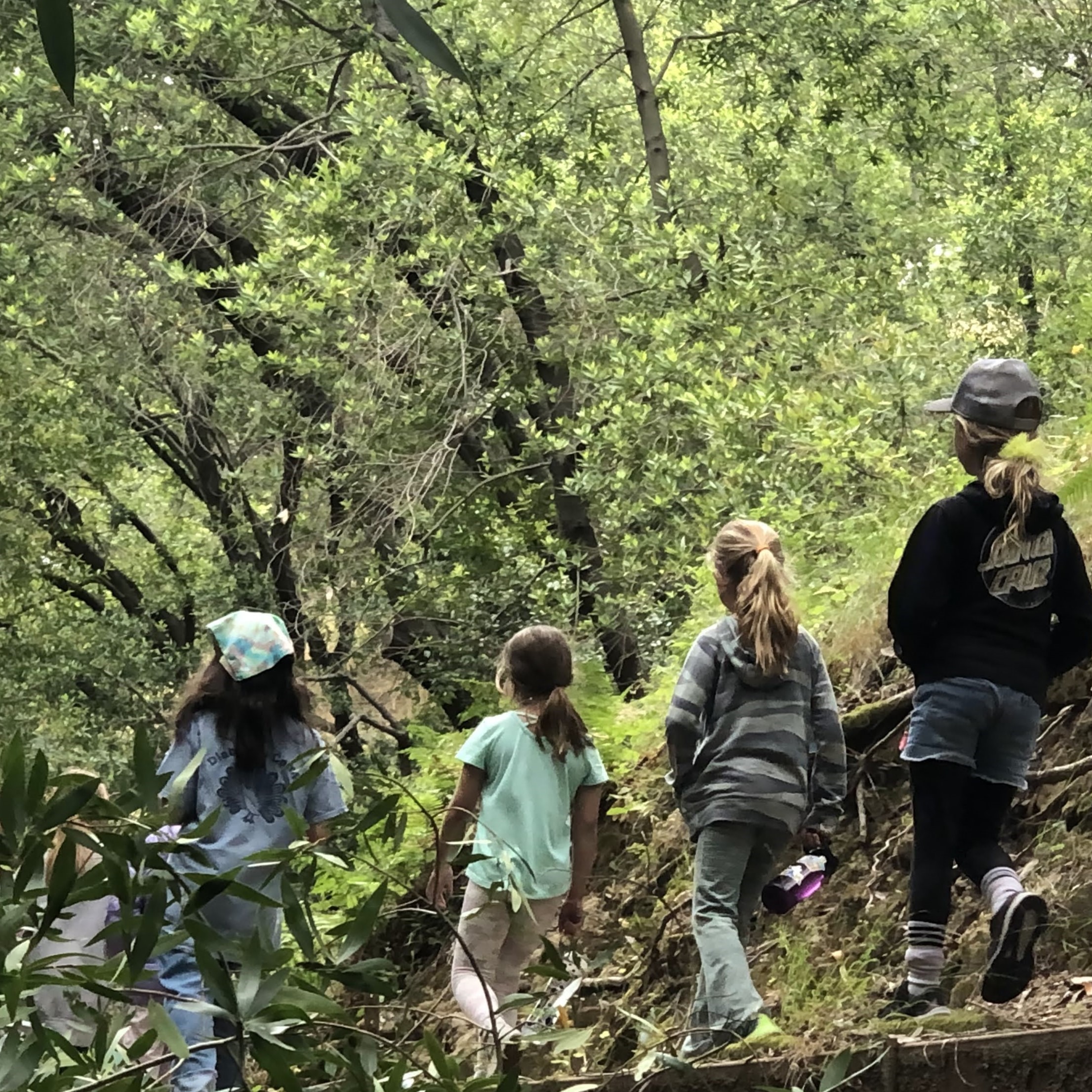 154hike square